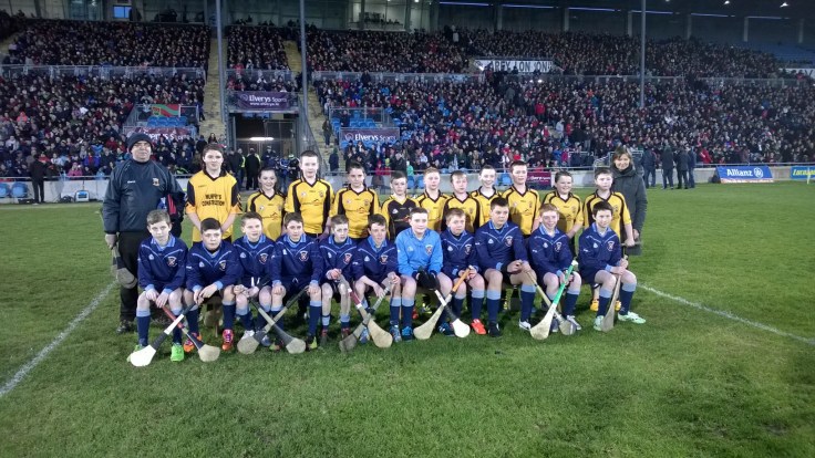 Hurling Exhibition